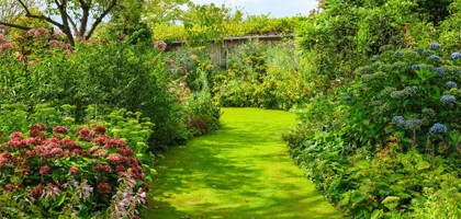Louer son jardin : un bon plan qui rapporte